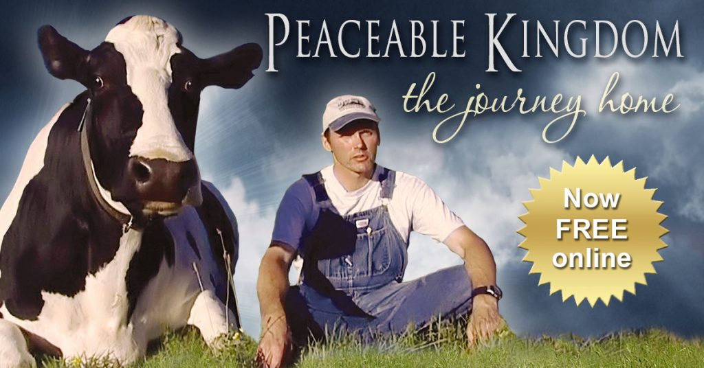 Best Vegan Documentaries to Watch