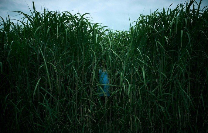 Still from the movie In the Tall Grass