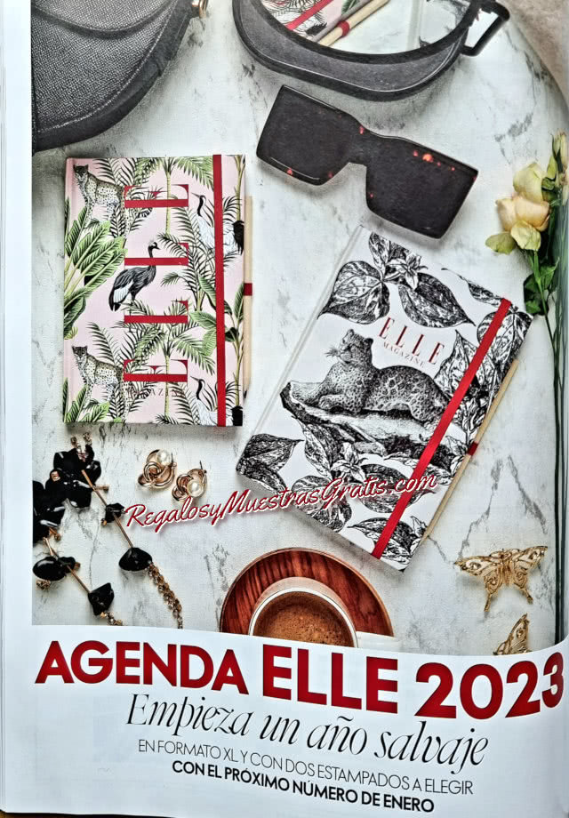 Advance Magazine Gifts January 2023 Elle
