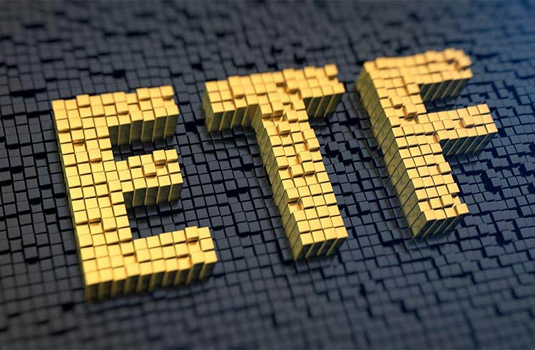 hash11 cryptocurrency etf outperforms b3s top etf in number of investors