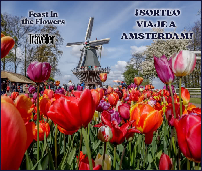Win 1 trip to Amsterdam for 7 days with Traveler