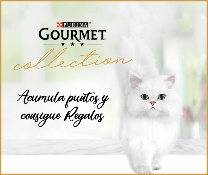 Accumulate points with Purina for cats and exchange them for