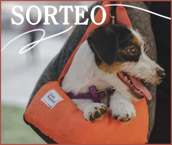 Repsol Guide raffles 15 carriers and drinkers for your pet